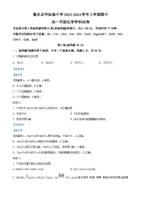 31，河北省衡水志华实验中学2023-2024学年高一上学期期中考试化学试题