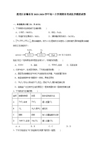 黑龙江省肇东市2023-2024学年高一上册期末考试化学模拟试卷（附答案）