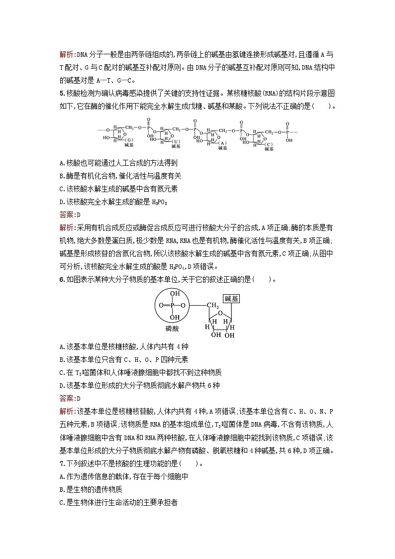 新教材2023年秋高中化学第4章生物大分子第3节核酸课后训练新人教版选择性必修302