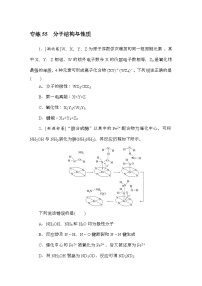 高考化学《微专题 小练习》统考版 专练 55