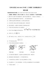 天津市武清区2023-2024学年高三上学期第三次质量检测化学模拟试题（含答案）