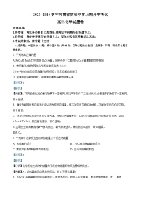 河南省实验中学2023-2024学年高二上学期开学考试化学试题（解析版）
