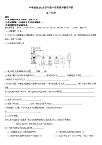 2024上海市东华大学附属奉贤致远中学高三上学期期中考试化学含答案