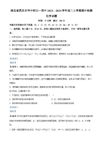 湖北省武汉市东华中师范大学第一附属中学2023-2024学年高二上学期11月期中化学试题（Word版附解析）