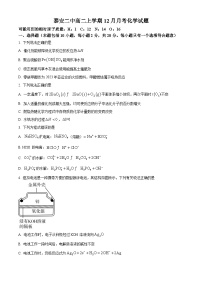 山东省泰安市第二中学2023-2024学年高二上学期12月月考化学试题（Word版附解析）