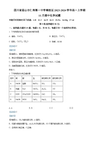 四川省眉山市仁寿第一中学南校区2023-2024学年高一上学期期中化学试题（Word版附解析）