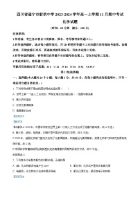 四川省遂宁市射洪中学校2023-2024学年高一上学期11月期中化学试题（Word版附解析）