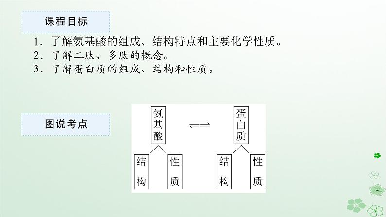 新教材2023版高中化学第四章生物大分子第二节蛋白质课件新人教版选择性必修302