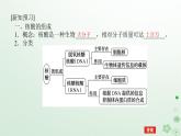 新教材2023版高中化学第四章生物大分子第三节核酸课件新人教版选择性必修3