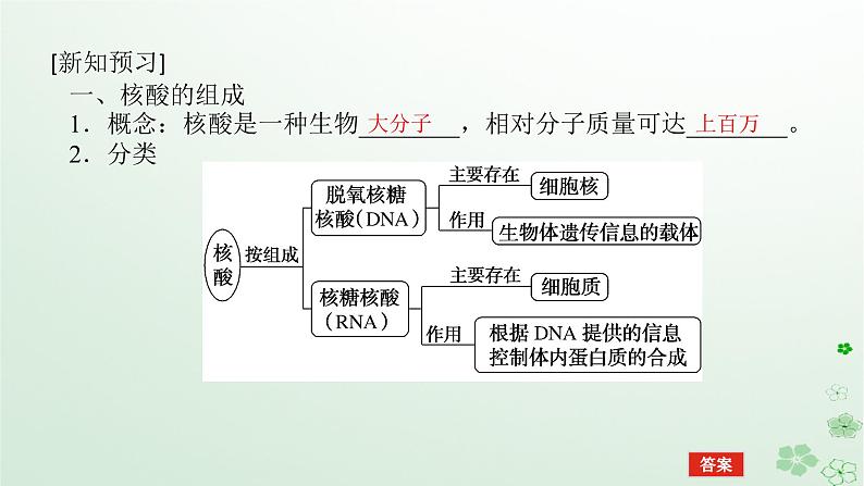 新教材2023版高中化学第四章生物大分子第三节核酸课件新人教版选择性必修3第5页