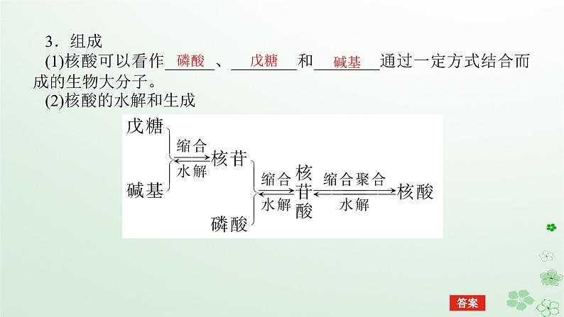 新教材2023版高中化学第四章生物大分子第三节核酸课件新人教版选择性必修3第6页