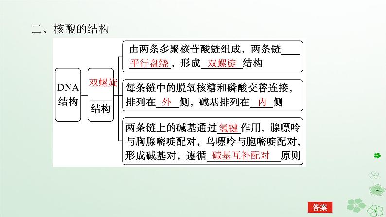 新教材2023版高中化学第四章生物大分子第三节核酸课件新人教版选择性必修3第7页