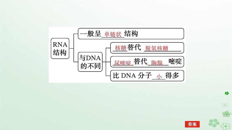 新教材2023版高中化学第四章生物大分子第三节核酸课件新人教版选择性必修3第8页