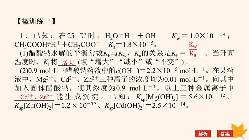 新教材2023版高中化学第3章物质在水溶液中的行为微专题大素养章末共享课件鲁科版选择性必修1第4页