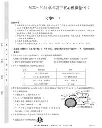 九师联盟2023-2024学年高三核心模拟卷（中）一化学试卷