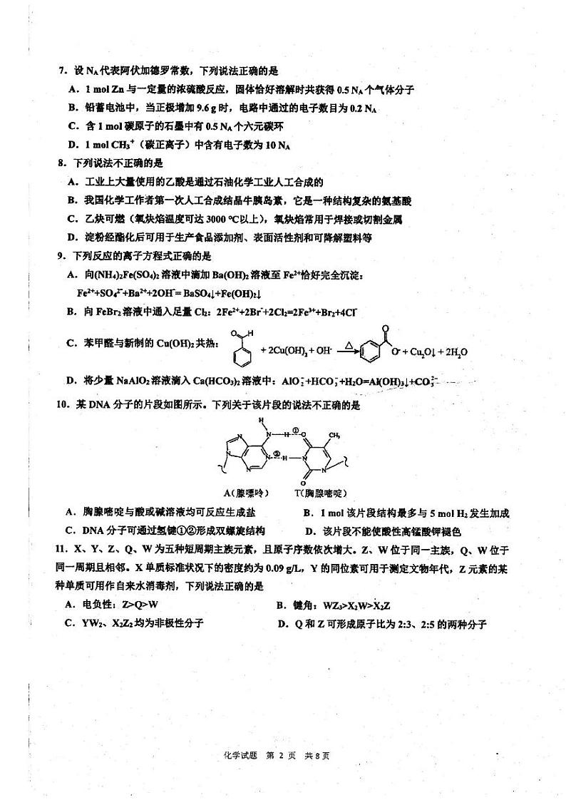 2024浙江省镇海中学高三上学期首考12月模拟卷化学PDF版含答案第2页