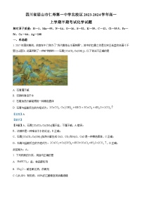 四川省眉山市仁寿第一中学（北校区）2023-2024学年高一上学期期中化学试题（Word版附解析）