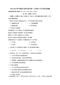 2023-2024学年黑龙江省哈尔滨市高一上册11月月考化学测试卷（附答案）