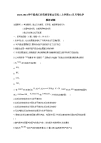 2023-2024学年黑龙江省鸡西市密山市高二上册11月月考化学测试卷（附答案）