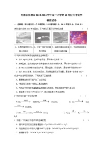 河南省济源市2023-2024学年高一上册10月份月考化学测试卷（附答案）