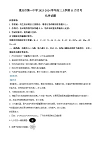 重庆市第一中学校2023-2024学年高三上学期11月月考化学试卷（Word版附解析）