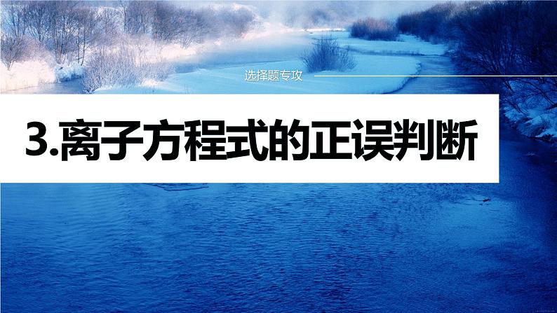 专题一化学用语与基本概念 选择题专攻3.离子方程式的正误判断课件-2024年高考化学二轮复习第1页