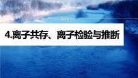 专题一化学用语与基本概念 选择题专攻4.离子共存、离子检验与推断课件-2024年高考化学二轮复习