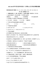 2023-2024学年四川省泸州市高一上册12月月考化学试题（附答案）