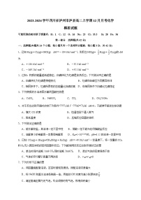 2023-2024学年四川省泸州市泸县高二上册12月月考化学试题（附答案）