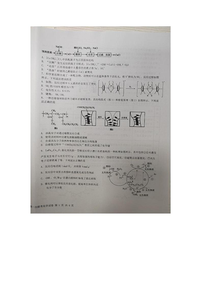 2024江西省五市九校协作体高三上学期第一次联考试题化学PDF版含答案02