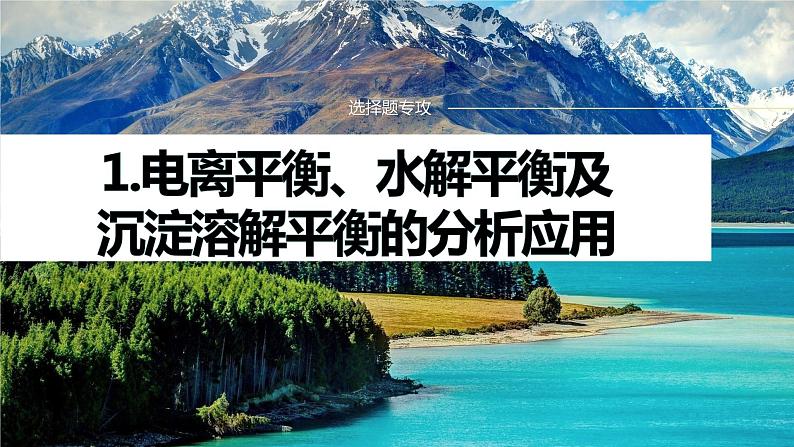 专题六　选择题专攻　1.电离平衡、水解平衡及沉淀溶解平衡的分析应用 课件-2024年高考化学二轮复习第1页