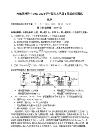 江苏省南京市南航苏州附中2023-2024学年高三上学期1月适应性测试化学试题（含答案）