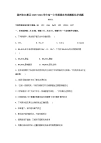 江苏省扬州市江都区大桥高级中学2023-2024学年高一上学期期末考试模拟化学试题含答案