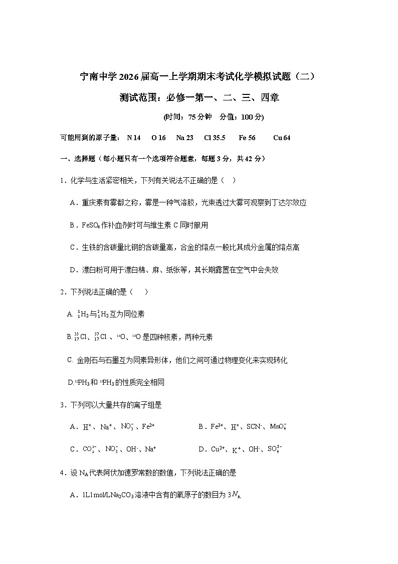 四川省凉山州宁南中学2023-2024学年高一上学期期末考试化学模拟试题（二）含答案第1页