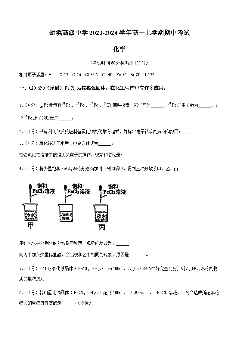 上海市嘉定区封浜高级中学2023-2024学年高一上学期期中考试化学试题含答案01