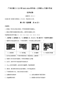 广东省广州市第八十九中学2023-2024学年高一上学期11月期中考试化学试题含答案