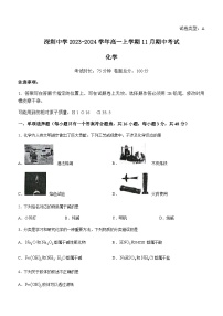 广东省深圳中学2023-2024学年高一上学期11月期中考试化学试题含答案