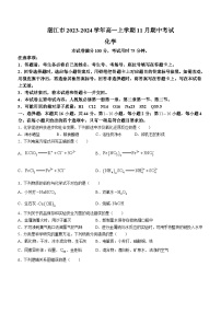 广东省湛江市2023-2024学年高一上学期11月期中考试化学试题含答案