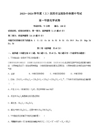 辽宁省沈阳市五校协作体2023-2024学年高一上学期11月期中考试化学试题含答案