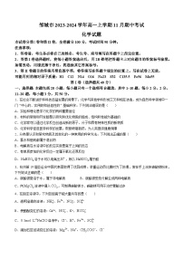 山东省济宁市邹城市2023-2024学年高一上学期11月期中考试化学试题含答案