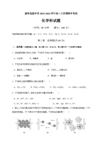 海南省嘉积高级中学2023-2024学年高一上学期期中考试化学试题含答案