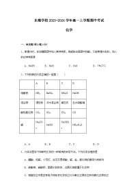 江西省宜春市丰城市东煌学校2023-2024学年高一上学期期中考试化学试卷含答案