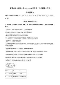 山东省泰安市新泰市弘文高级中学2023-2024学年高一上学期期中考试化学试题B含答案