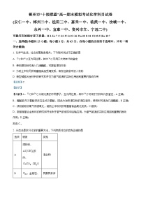 湖南省郴州市“十校联盟”2023-2024学年高一上学期期末模拟化学试题（Word版附解析）