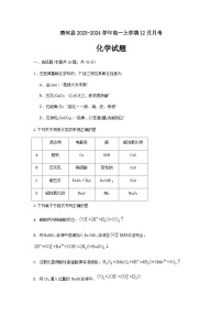 河南省南阳市唐河县第一高级中学2023-2024学年高一上学期12月月考化学试题含答案