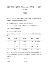 河南省南阳市镇平县第一高级中学2023-2024学年高一上学期12月月考化学试题含答案