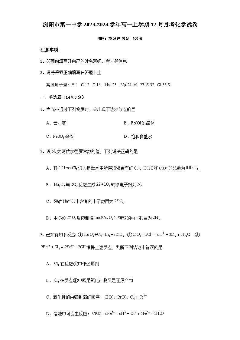 湖南省长沙市浏阳市第一中学2023-2024学年高一上学期12月月考化学试题含答案第1页