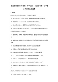 湖南省常德市汉寿县第一中学2023-2024学年高一上学期12月月考化学试题含答案