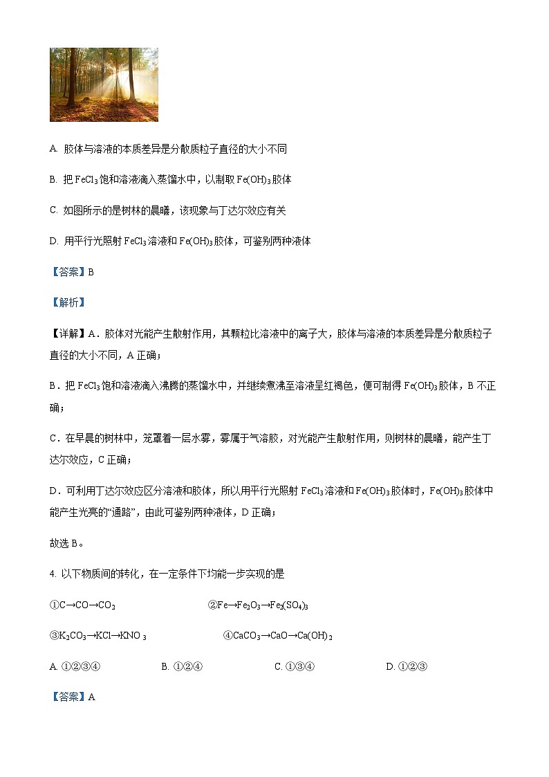 安徽省阜阳市第三中学2023-2024学年高一上学期10月月考化学试题含答案03