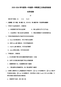 天津市武清区城关中学2023-2024学年高一上学期第三次阶段检测化学试题含答案